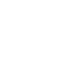 AlscoIcon