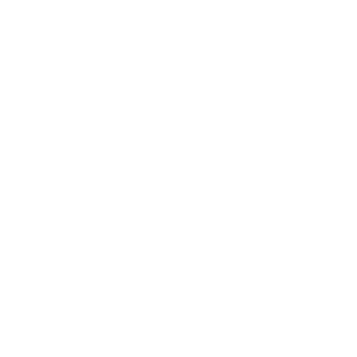 bonson_1